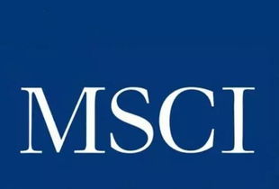 a股纳入msci指数 助推中国资本市场国际化